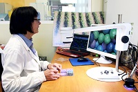 Digital microscope seed coating visual inspection Digital microscope seed coating visual inspection