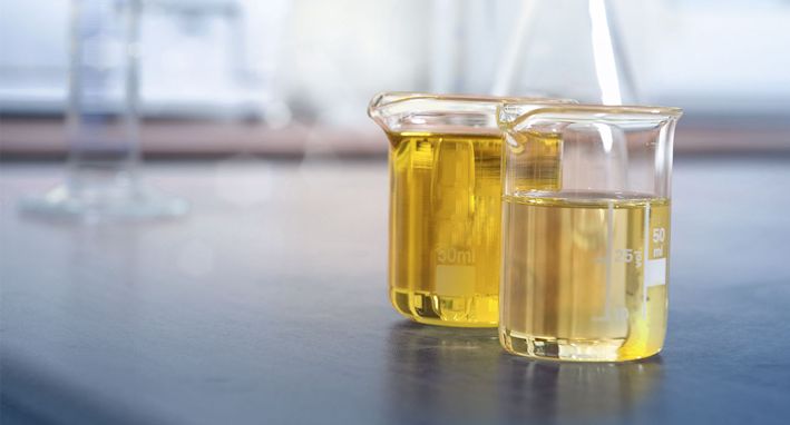 High-performance Alternative Polyols Made from by RAMPF High-performance Alternative Polyols Made from by RAMPF