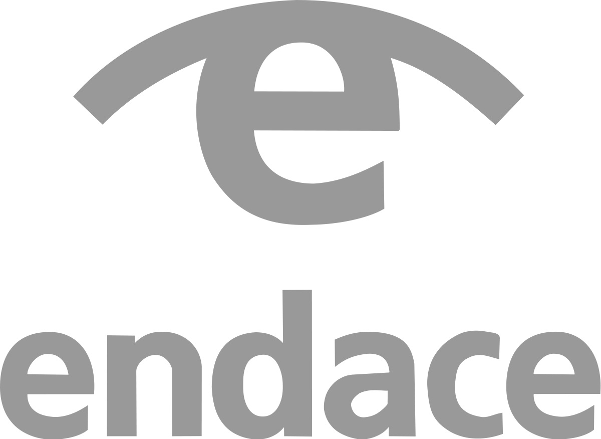 Endace logo